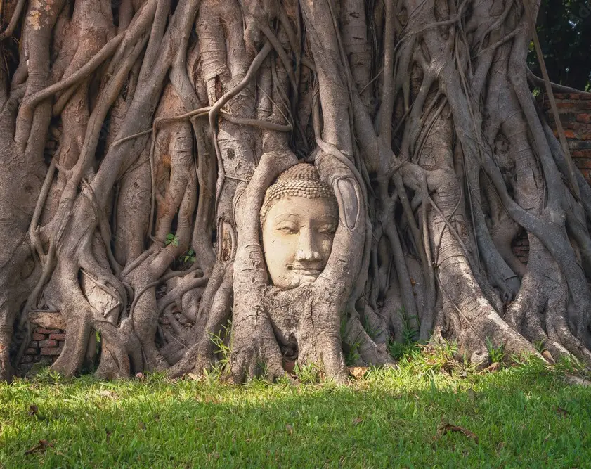 Ayutthaya Tour