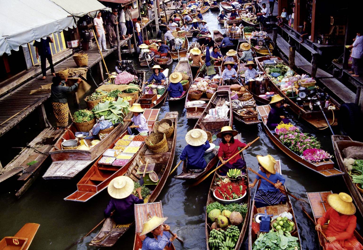 Amphawa & Train Market Tour + Sea Monkey Feeding