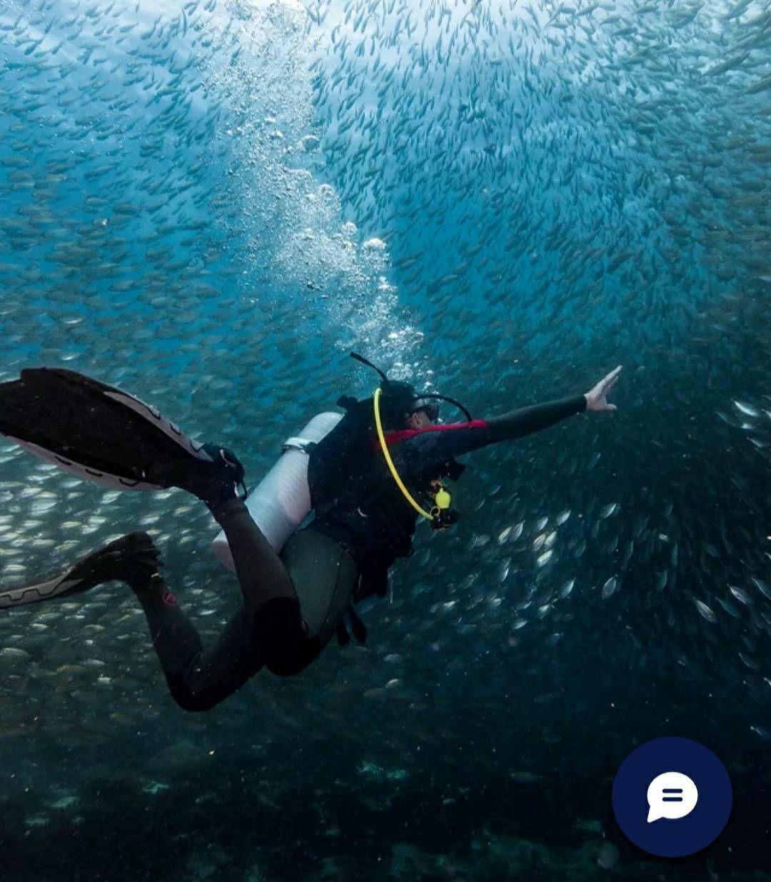 Koh Tao. Dive into Adventure