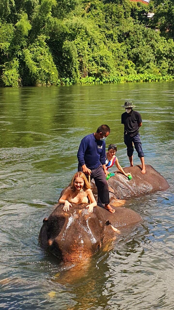 Kanchanaburi Day Tour: Erawan Waterfall, River Kwai & Elephant Bathing Experience